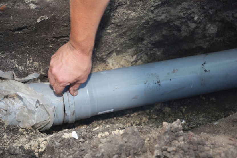 How Tree Roots Can Damage Your Sewer Line
