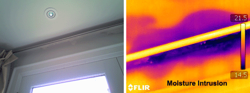 moisture-thermal-pic2