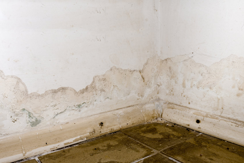 Flooding rainwater or floor heating systems, causing damage, peeling paint and mildew. - image