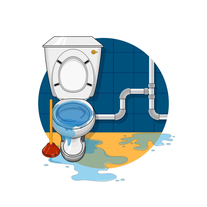 Toilet Plumbing Service