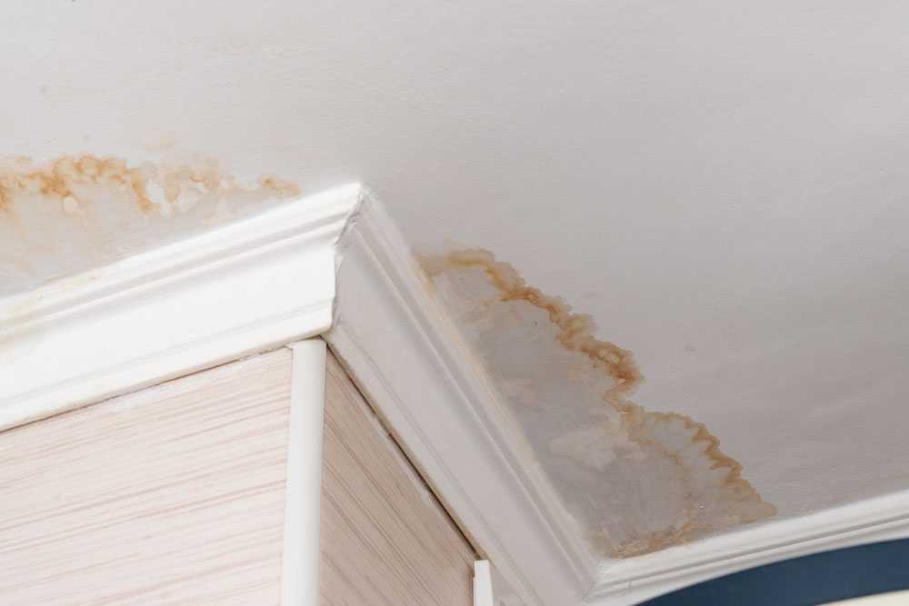 water stains on ceiling