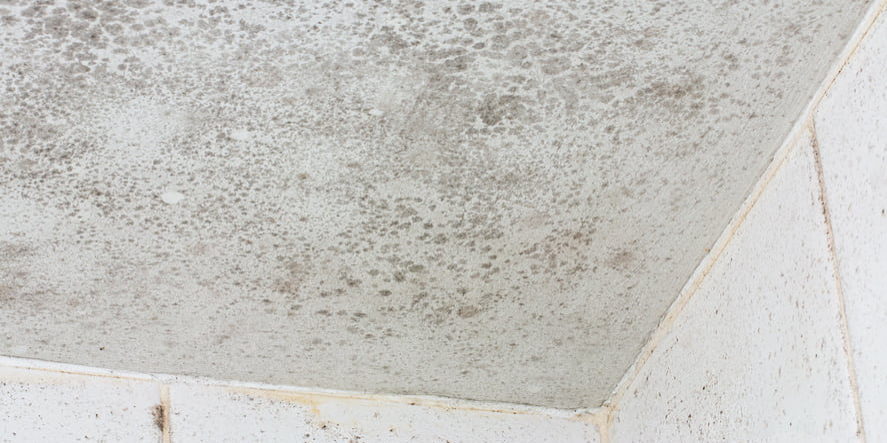 sewerrepair